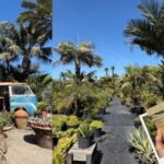 Flor Hermosa cafe & plant nursery